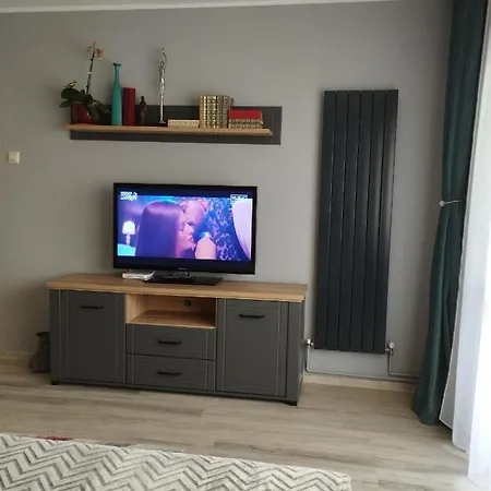 Апартаменти Central Lala Apartament Брашов