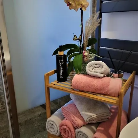 Central Lala Apartament Braşov