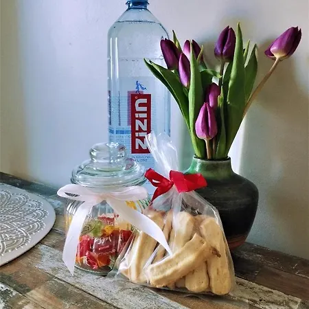 Central Lala Apartament Braşov