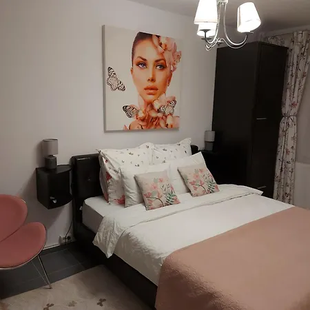 Апартаменти Central Lala Apartament Брашов
