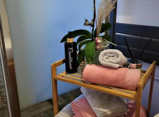 Central Lala Apartament Брашов