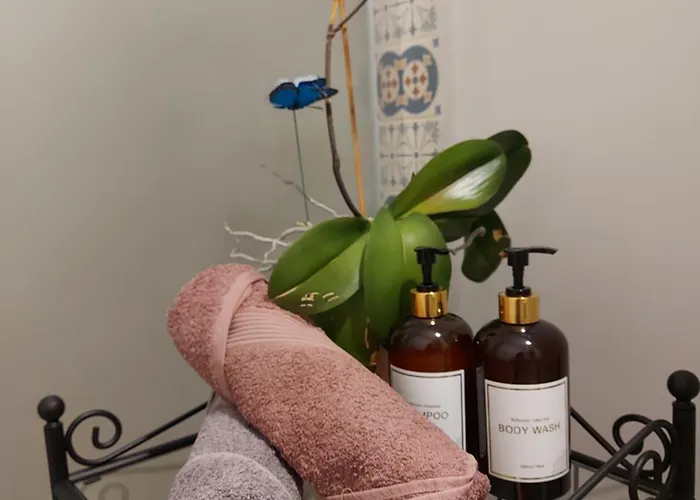 Central Lala Apartament *